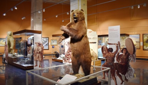 Дарвиновский музей назвал экспонат, чаще всего участвовавший в выставках