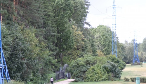 В Битцевском лесу устроят мини-поход и экскурсию