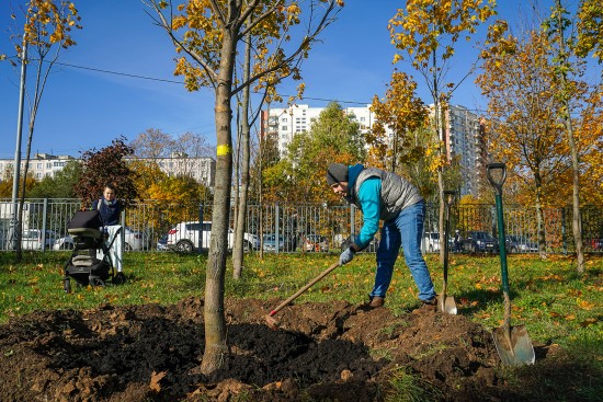 ЦДиК «Южное Бутово» приглашает 22 октября на встречу клуба садоводов «Мой сад»