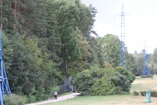 В Битцевском лесу устроят мини-поход и экскурсию