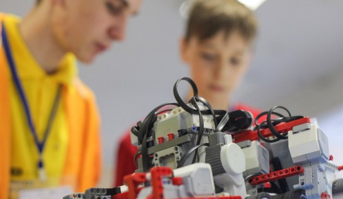 Юные жители Конькова создадут собственную модель робота-животного