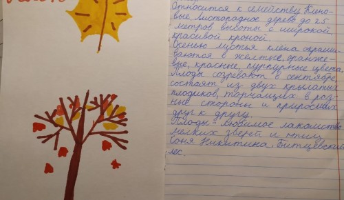 Дирекция «Битцевского леса» поблагодарила участников «Дневника натуралиста»