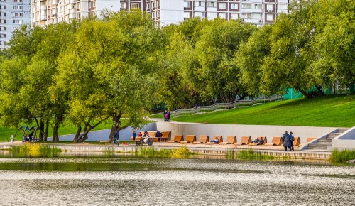 На территории у Коньковских прудов благоустроили площадки для спорта и отдыха