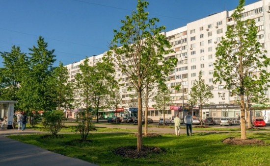 Петр Бирюков: более 5 тыс. крупномеров украсят видовые пространства и магистрали Москвы