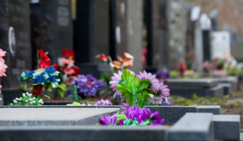 Два участка в ЮЗАО используют для расширения Захарьинского кладбища