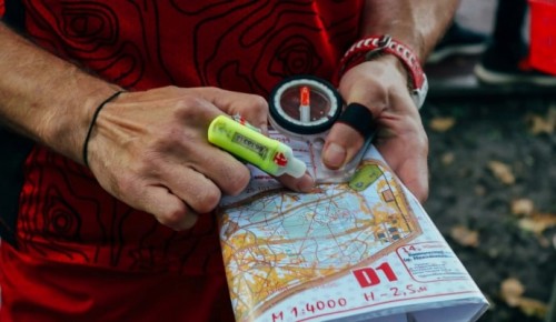 В Воронцовском парке 30 октября организуют соревнования по спортивному ориентированию