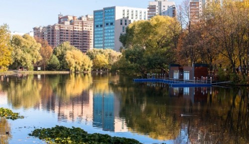 Воронцовский парк приглашает на экскурсию «Колыбельная для природы»