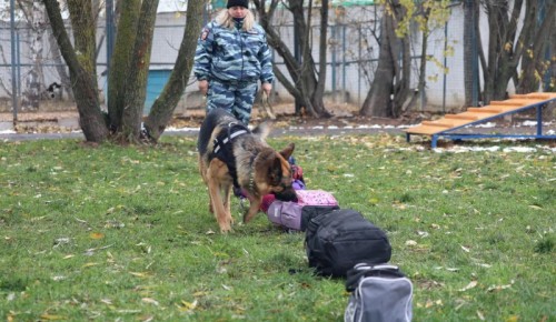 В кинологическом центре УВД по ЮЗАО состоялось открытие полосы препятствий для собак