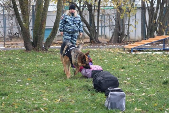 В кинологическом центре УВД по ЮЗАО состоялось открытие полосы препятствий для собак