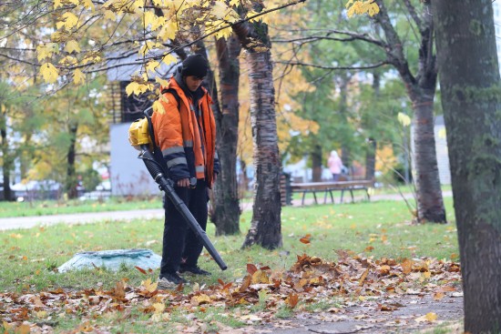 Как пылесосом сдуло! Что коммунальные службы округа делают с опавшей листвой