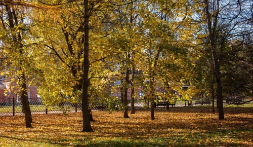 Вход в Воронцовский парк рядом с многофункциональной площадкой  закрыт до 26 ноября