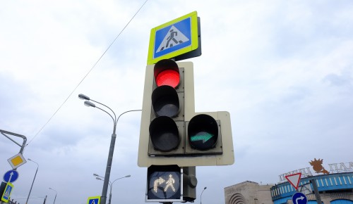 Долголеты из Теплого Стана могут заниматься в автошколе онлайн