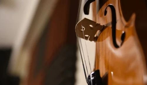В ДШИ «Юность» научат игре на виолончели