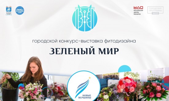 Жители Ломоносовского района могут поучаствовать в конкурсе-выставке фитодизайна «Зелёный мир»