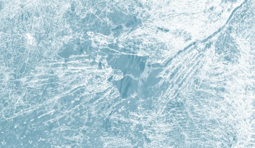 В экоцентре «Битцевский лес» пройдут «Ледяной квест» и показ фильма об Арктике 20 ноября 