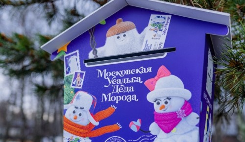 Глава управы Ломоносовского района предложила жителям отнести письма Деду Морозу