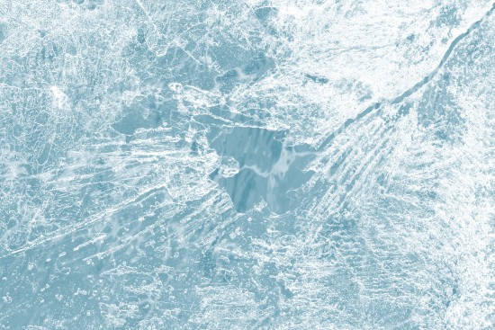 В экоцентре «Битцевский лес» пройдут «Ледяной квест» и показ фильма об Арктике 20 ноября 