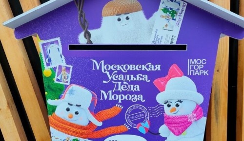 Глава управы Зюзина предложила жителям отправить письма Деду Морозу
