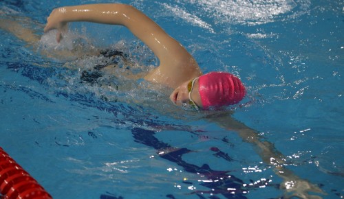 Готовность ФОКа с бассейном в Северном Бутове составляет 80 процентов