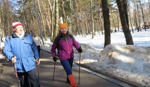 Долголетов из Бутова приглашают на занятия скандинавской ходьбой