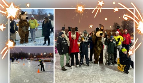 В парке «Надежда» открылся единственный в Ломоносовском районе каток с искусственным льдом