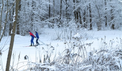 Жители ЮЗАО могут сдать нормы ГТО по бегу на лыжах и стрельбе