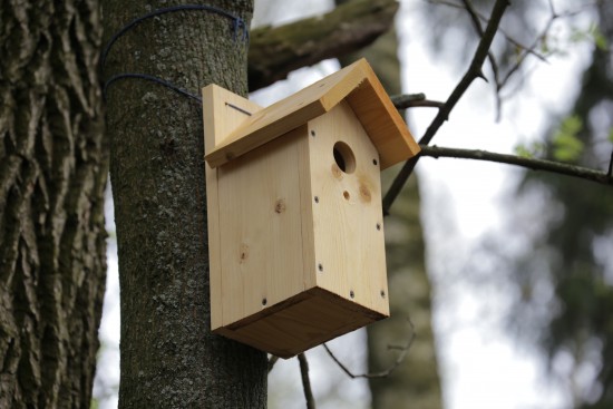 Жители Ломоносовского района могут поучаствовать в конкурсе по изготовлению кормушек