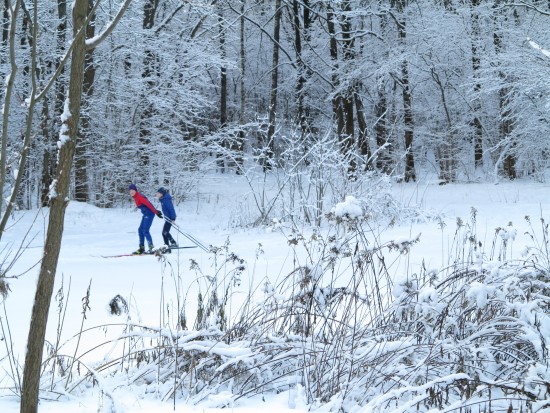 Жители ЮЗАО могут сдать нормы ГТО по бегу на лыжах и стрельбе