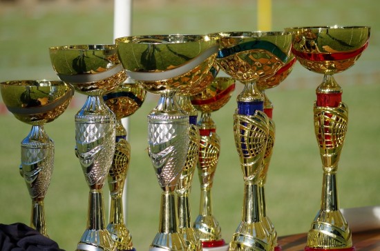 В ЦСиО «Самбо-70» провели Всероссийские соревнования по самбо «Кубок братьев Клецковых»