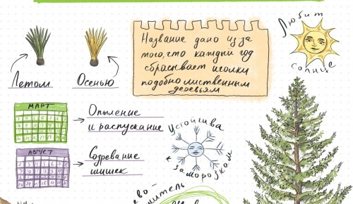 Жителям Теплого Стана рассказали о декабрьской тематике «Дневника натуралиста»
