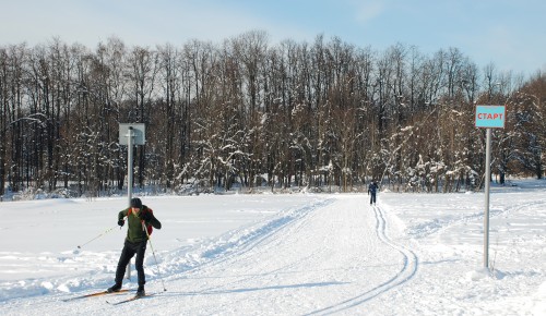 Рядом с улицей Поляны оборудуют лыжную трассу 