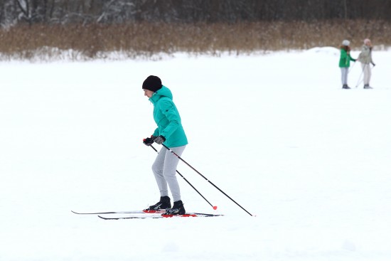На природных территориях ЮЗАО проложат шесть лыжных маршрутов
