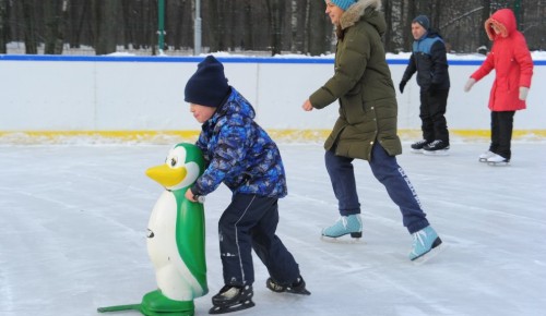 Малышей с мамами обучат фигурному катанию в Воронцовском парке