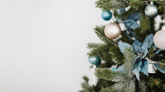 Жители Южного Бутова могут выбрать пункты приема новогодних елок