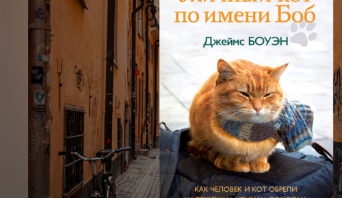 Жителям Котловки предлагают познакомиться с романом «Уличный кот по имени Боб»