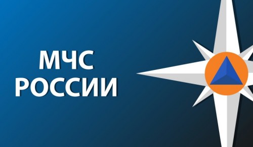 В системе МЧС России, в стране и во всем мире День добровольца (волонтера) отмечается 5 декабря
