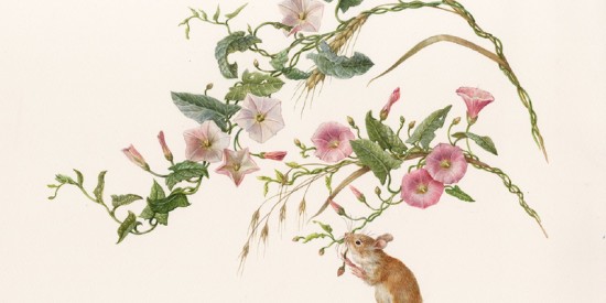 В Дарвиновском музее откроют выставку «Цветочные часы Карла Линнея»