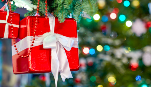 Ракова: Подарки детям мобилизованных москвичей ежедневно доставляют  более 250 Дедов Морозов