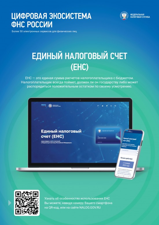 Цифровая экосистема ФНС