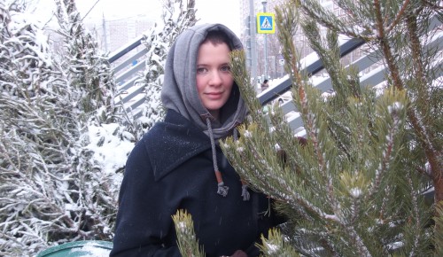 37 елочных базаров открыли на юго-западе Москвы