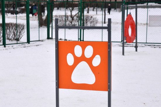 Полицейские задержали подозреваемую в жестоком обращении с собакой бутовчанку