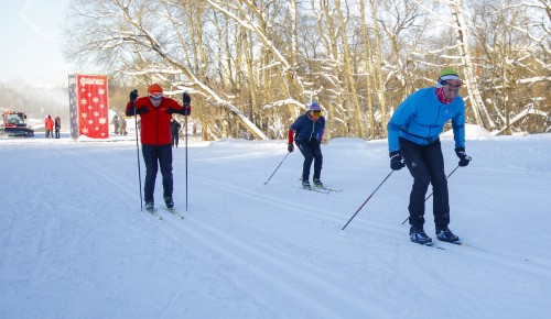 Лыжная трасса в Битцевском лесу названа самой длинной и самой красивой