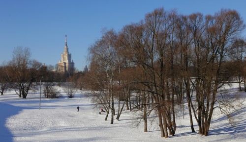 Мороз – красный нос, белые щёки. Что делать, если загулялись по холоду и обморозились