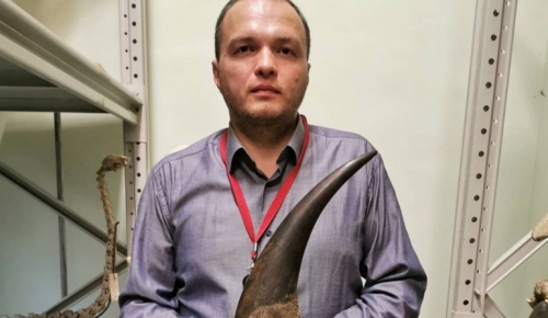 Хранитель Дарвиновского музея рассказал историю появления в учреждении рога носорога