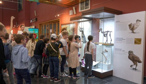 Школьники могут бесплатно добраться до двух музеев Академического района на городском транспорте