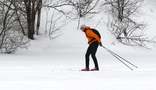В Воронцовском парке бесплатно научат кататься на лыжах