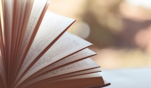 Жители Ломоносовского района могут ознакомиться с советами книготерапевта о правильном чтении