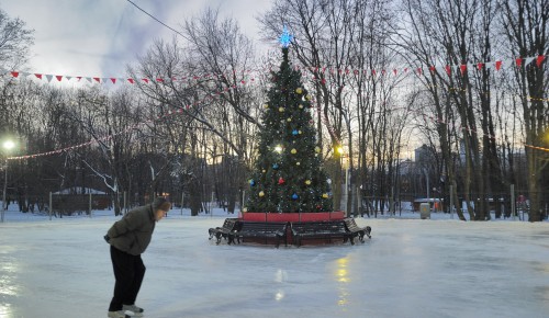 Катки в Воронцовском парке могут не работать при плюсовой температуре