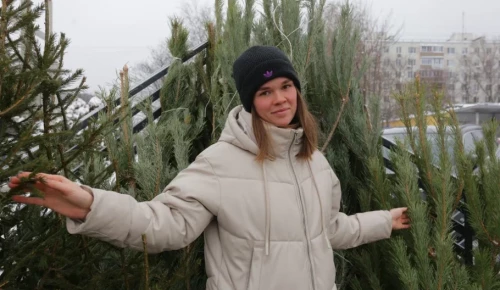 На юго-западе Москвы открыли пункты приема новогодних деревьев