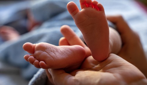 В роддоме № 4 подвели итоги рождаемости за 2022 год